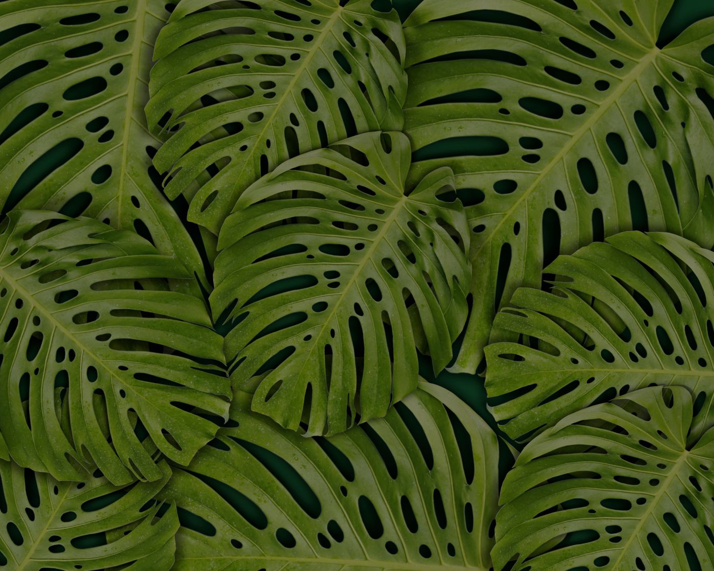 Botanical nature study artwork